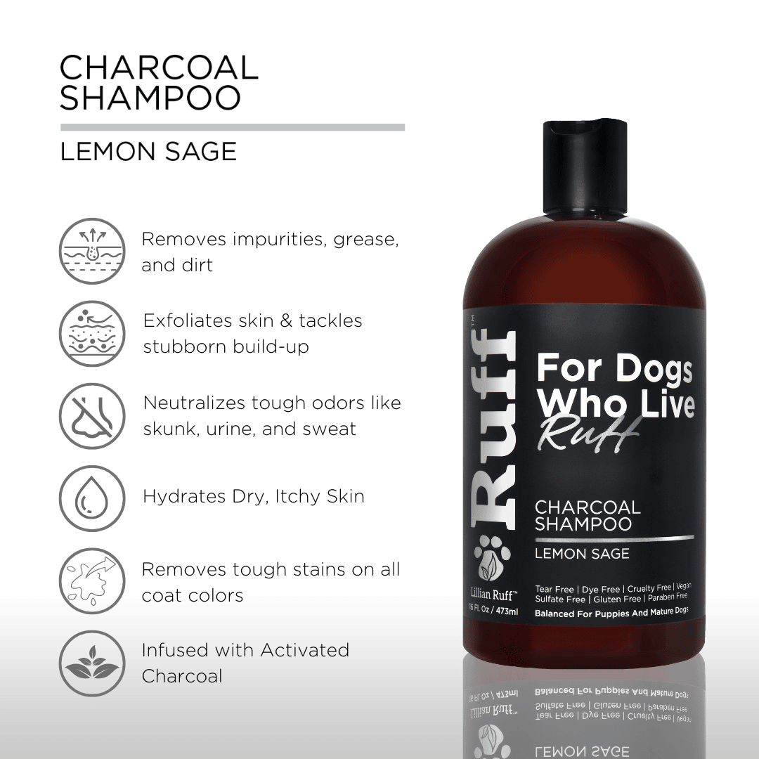 Activated Charcoal Shampoo - Best Dog Shampoo