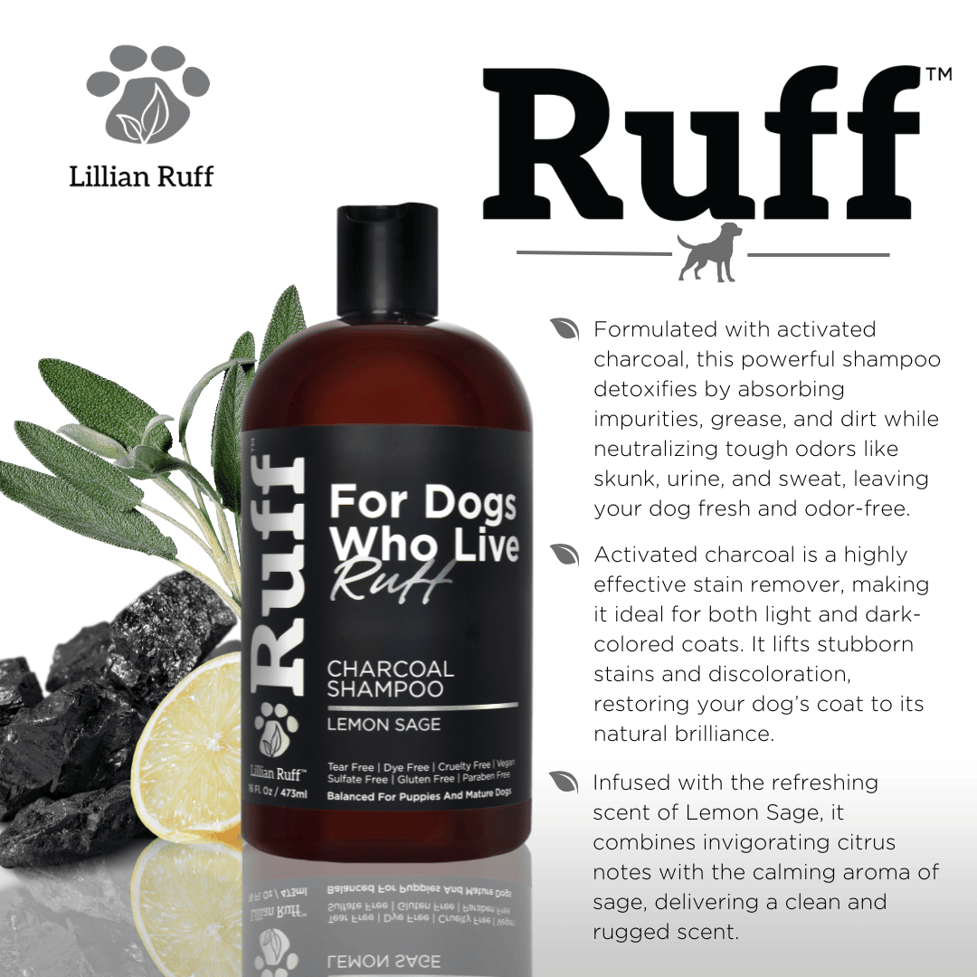 Activated Charcoal Shampoo - Best Dog Shampoo