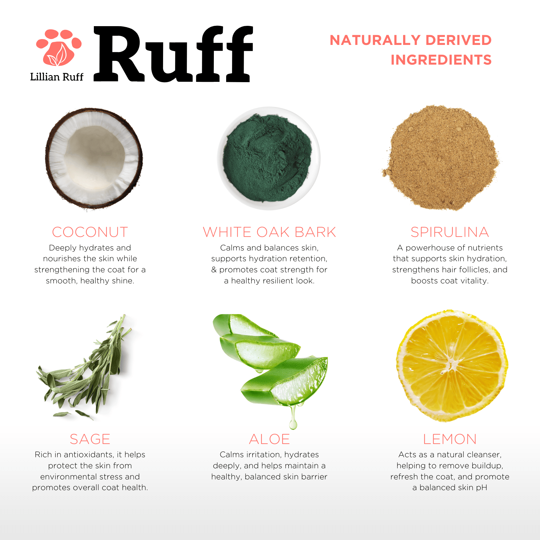 Waterless Shampoo Sandalwood - Amber - Best Dog Shampoo